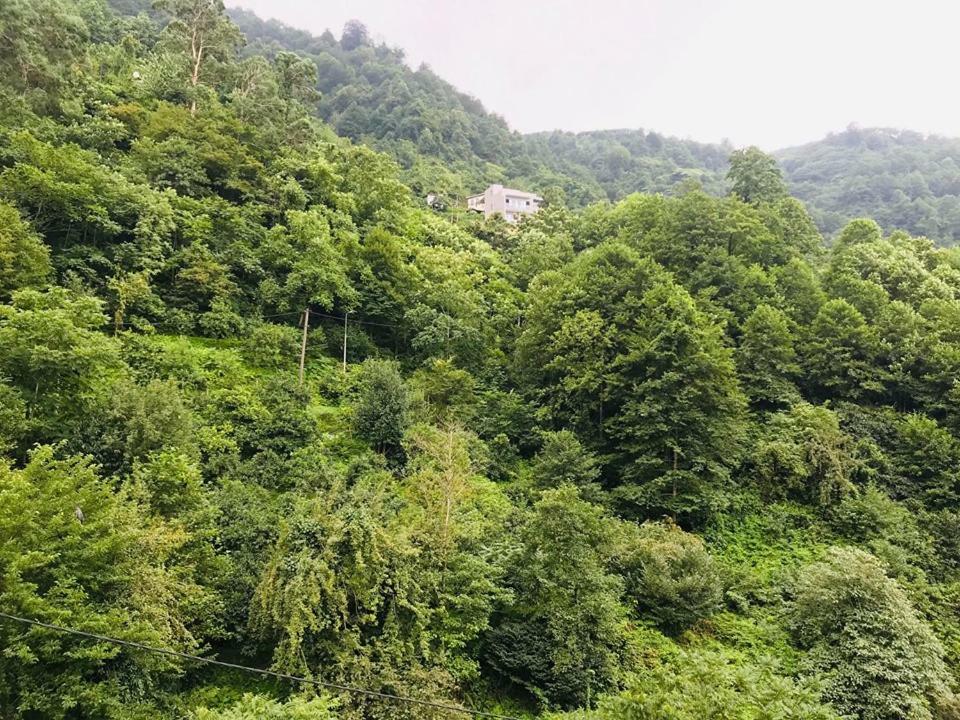 Hotel Giorgi Kwariati Exterior foto